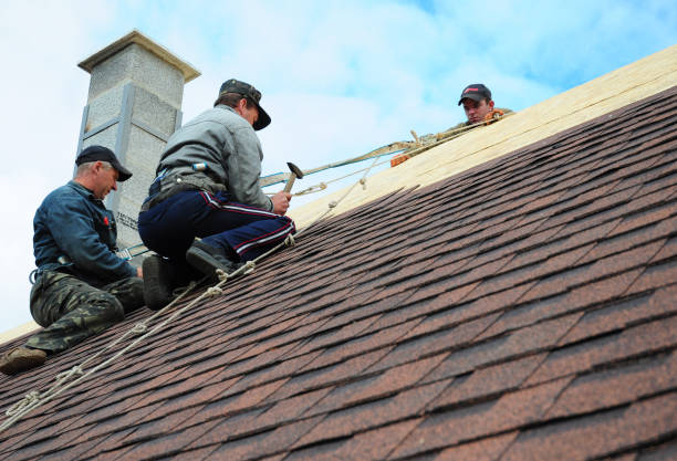 Best Metal Roofing Contractor  in Crete, IL